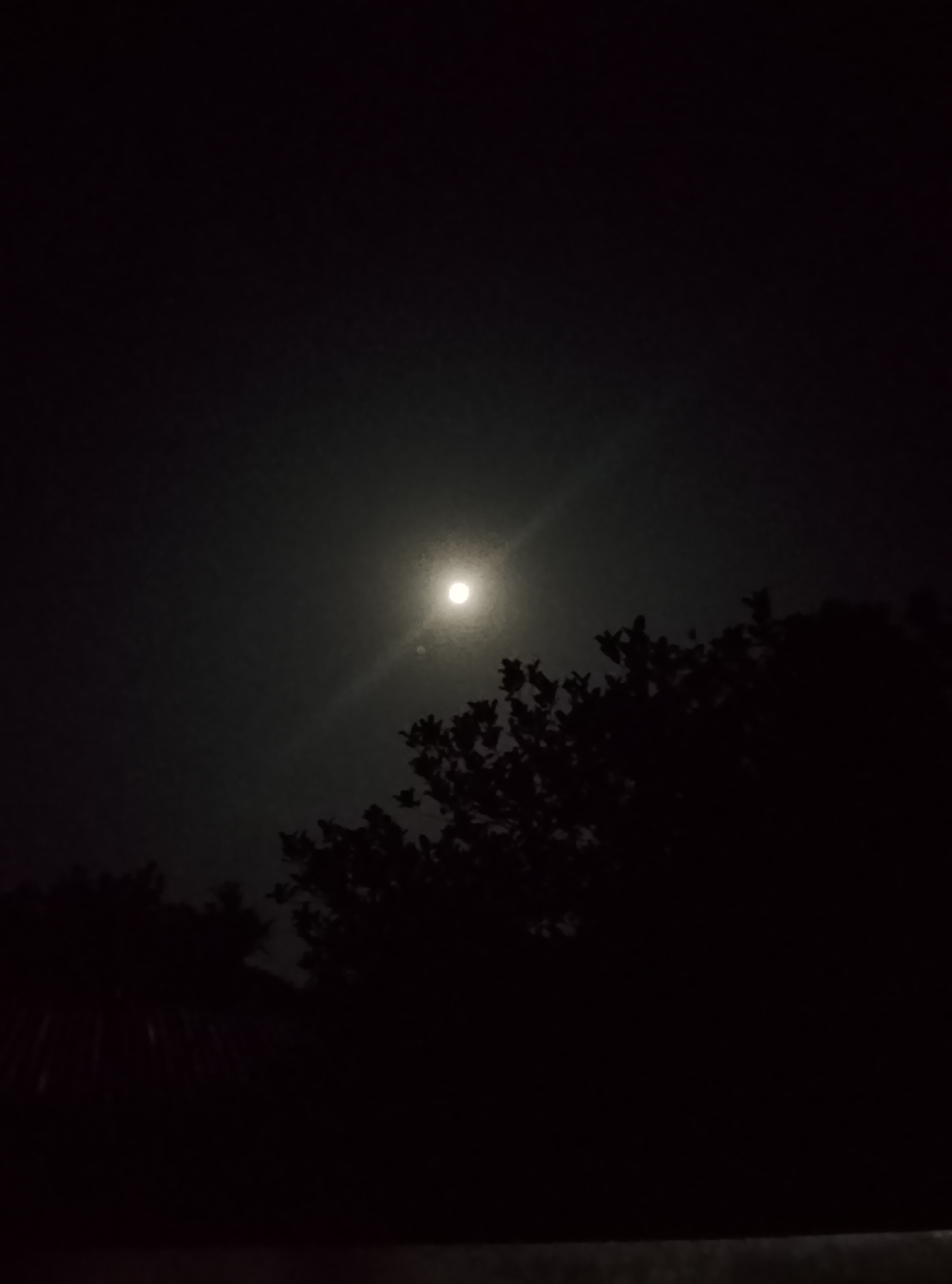 শীতবস্ত্র বিতরণ অনুষ্ঠান ২০২৫